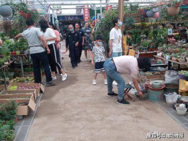 市民在君泰花卉文化城内挑选鲜花.