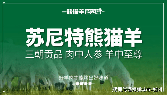 被誉为"熊猫羊之父,25年来,丁申才尝遍无数品种的羊肉,见过数万家