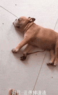 搞笑gif段子:闺蜜的脚都是香的吧!