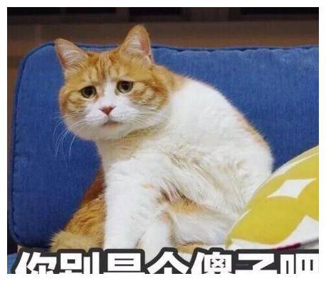 7f75ce8956cc478983eb350c13f32d64.jpeg