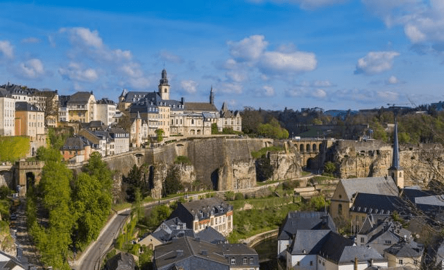 比利时人均gdp_比利时蓝牛(3)