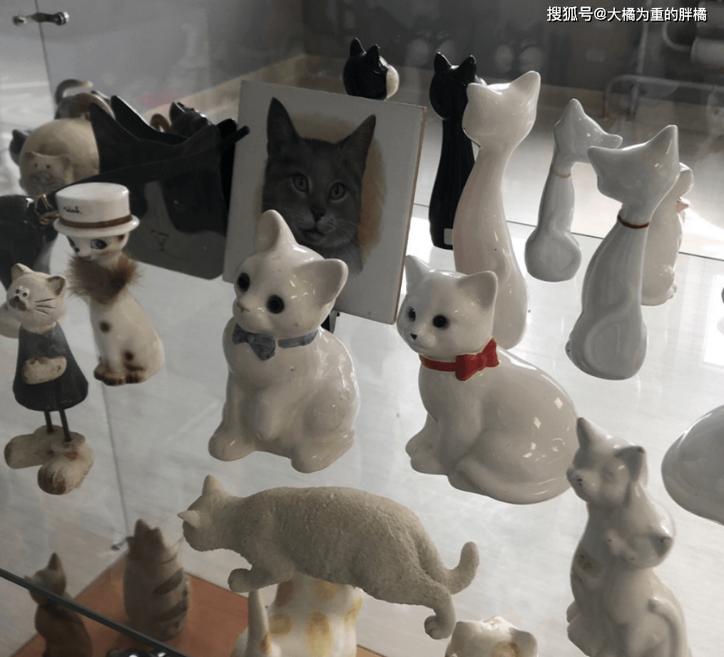 e1ce9166152b4e63bfe74ec9897fac3c.png