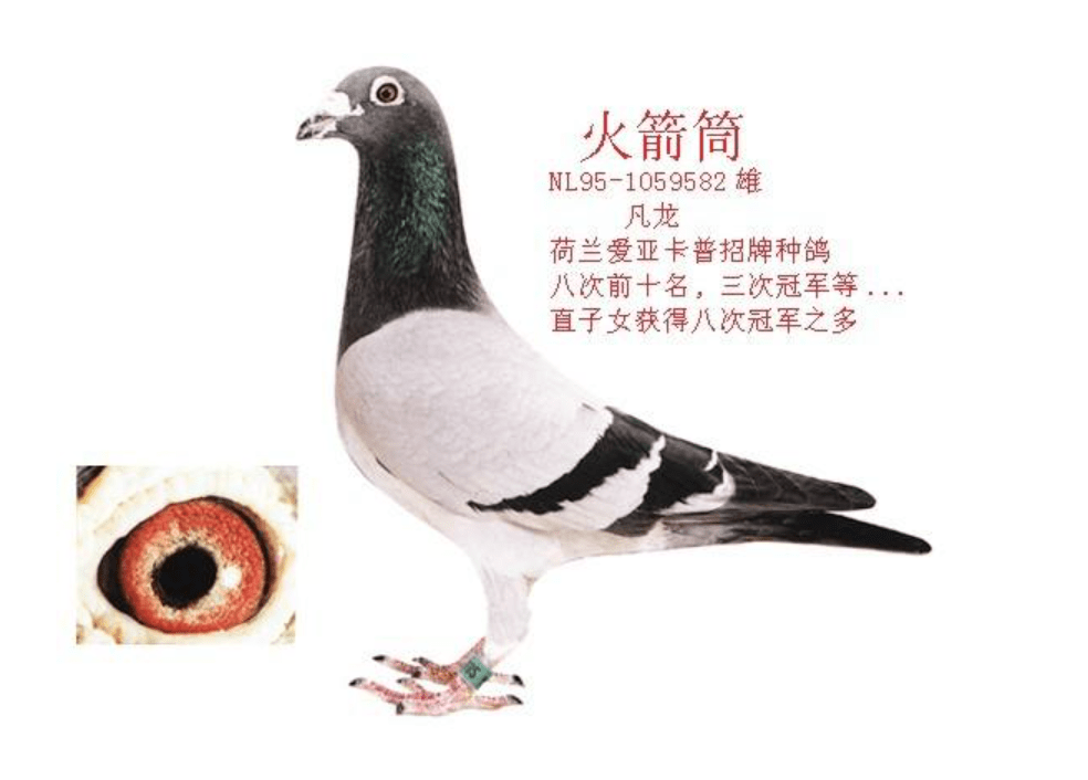 be62701c0f934a8789cad037ab93f3e8.png