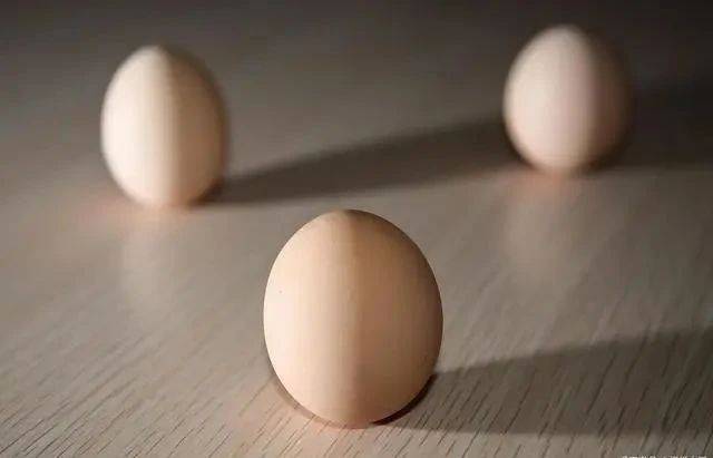 0b9aeb7a67494ce19a89fd3f7734e66d.jpeg