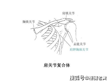 专业运动康复师说:撸铁中的这4点,可能毁了你的肩关节