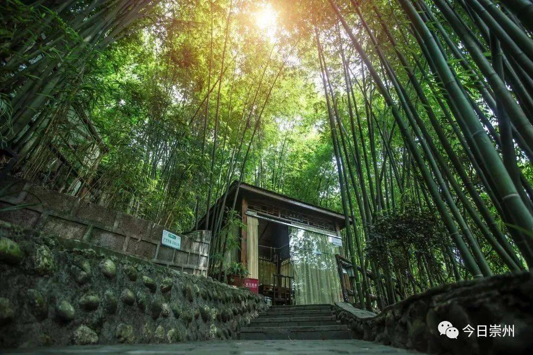 这就是"竹海听涛生态山庄",位于最美乡村公路重庆路一旁,是一个集