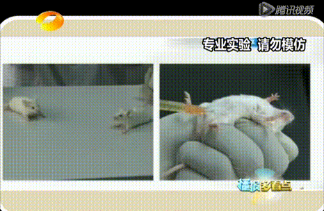 真相|我恨你！”8岁女孩肺癌晚期，真相竟是孩子被迫吸了2040根烟？“爸爸