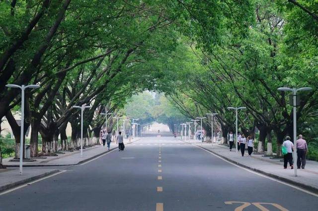 人数|2020专插本竞争最激烈大学，最高淘汰4239人难难