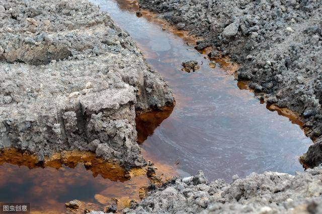 土壤重金属污染的危害土壤是各种生物,微生物以及动物的重要生存场所