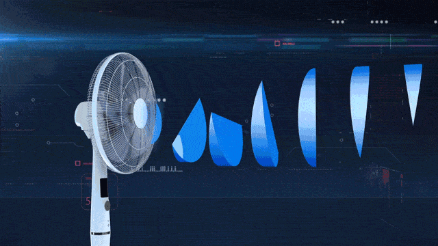 ����|�Ұ�����������8����Ҷ���ȶ���ؼ�,���ֲ����ĺô�!