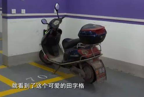 海盐人口面积GDP_海盐蛋糕图片(2)