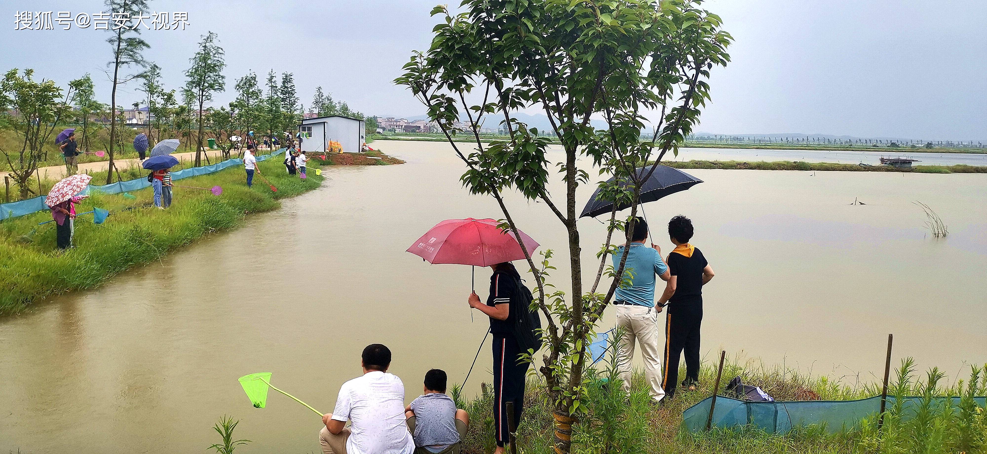 吉安视觉:吉水万亩龙虾基地体验钓龙虾的乐趣