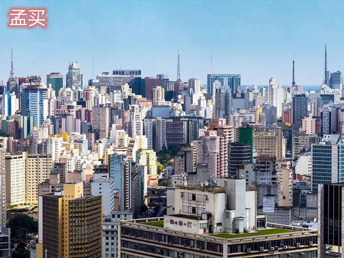 2020上海孟买gdp_孟买猫(3)