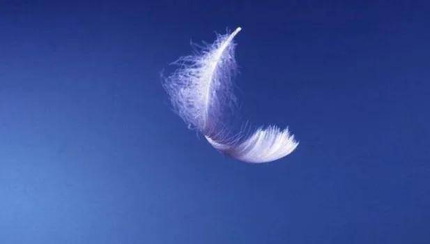 信息透明、物流顺畅、资金充裕！家电代理商给市场该说再见-家电圈官网