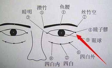 位置:目外眦外侧0.5寸凹陷中,有眼轮匝肌,为瞳子髎.操作手法:用揉法.