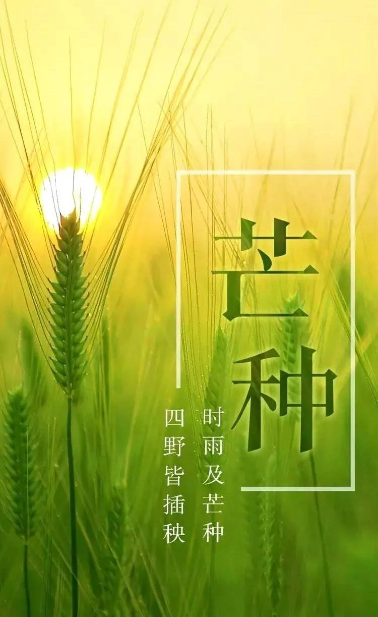 今日芒种 春争日夏争时,不负明珠湖畔诗意时光_手机搜狐网