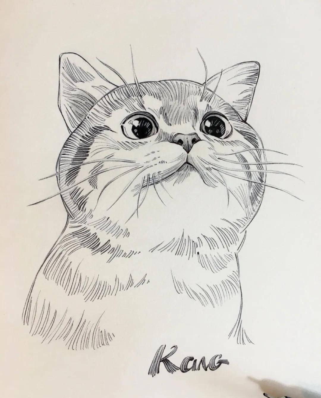 自己怎么做手绘头像 9711157af58a42fa9c7bd2228cab257f.jpeg