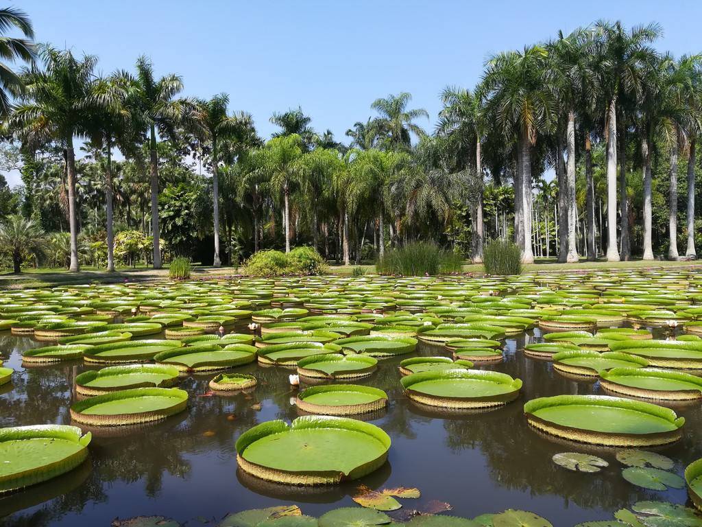 西双版纳度假旅游必看避坑攻略