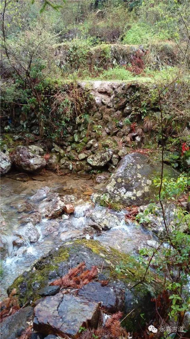 溪涧水流鸣雷,漫溢而下,悬而为瀑.