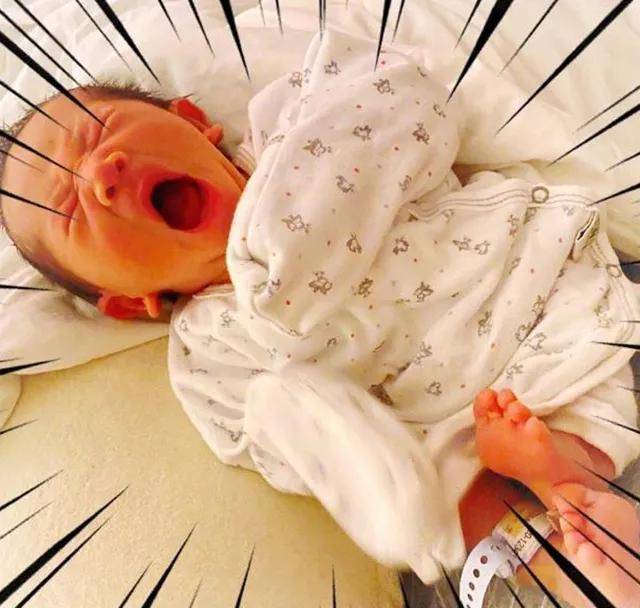 应采儿生二胎，Jasper不开心，傅首尔揭秘大宝为何不喜欢二胎张爱萍子女