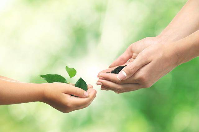 什么样的生活才算是好的生活 a355d53febf64265a2d78d7a504b43ef.jpeg