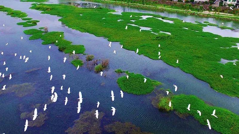 d1a0a842155a4ff38cd5fe6796eead2c.jpeg