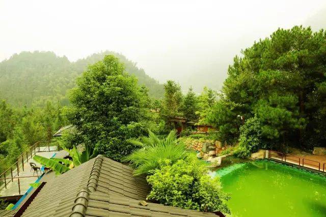 深度分析｜有多少农开云 开云体育官网业项目可以支撑起休闲旅游发展？(图2)