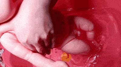 宝宝|实操动图展示：新生儿洗澡标准流程及操作步骤！