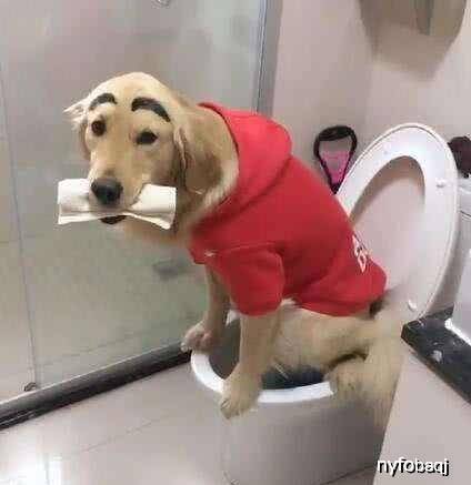 133f253a061c4eb4af142217680f81fa.jpeg