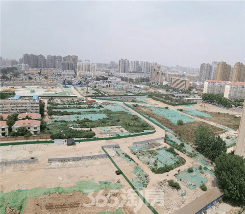 胙城张庄人口_天津北辰大张庄规划图(2)