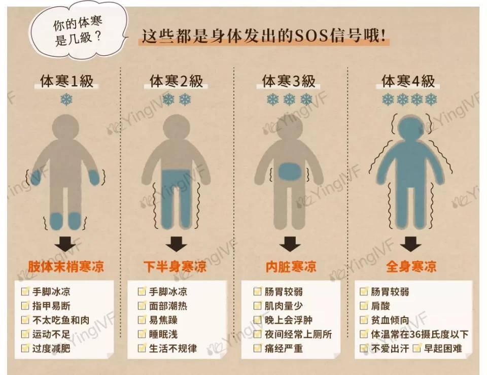 俗话说十女九寒体寒一共分四级你在第几级