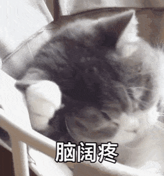 宁夏人,你愿意生三个吗?有人竟然说