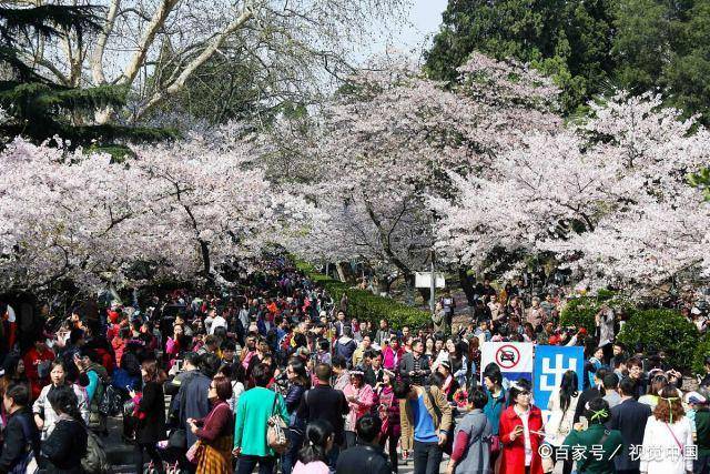 qs世界工科大学排%e_世界公认的31所好大学:新QS内地工科大学排名,交大超
