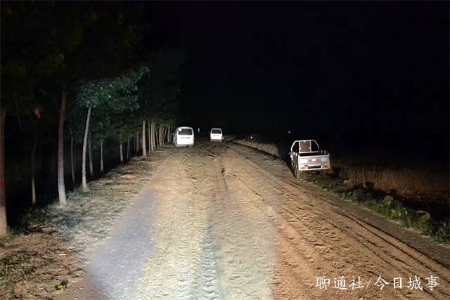 莘县多少人口_莘县地图