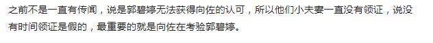 郭碧婷向佐结婚申请表流出！豪门这么久没名分