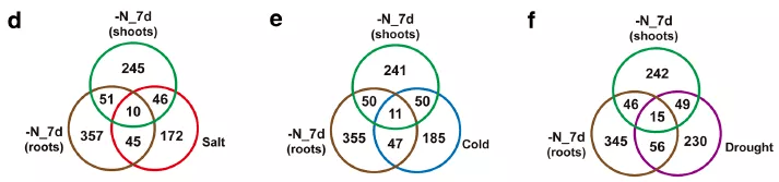 venn-r