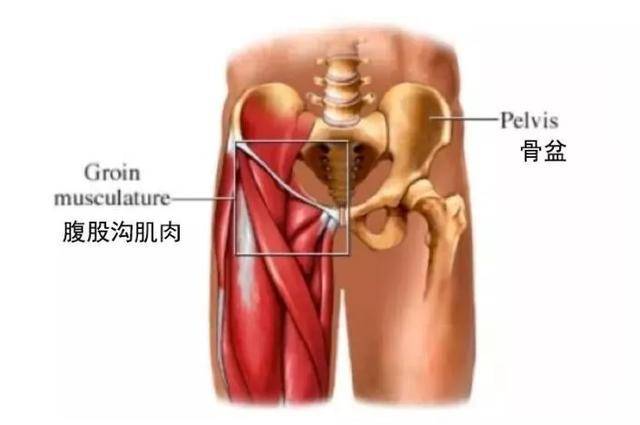 6个瑜伽体式助你打开腹股沟,远离妇科疾病!