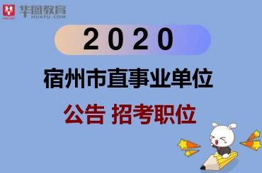 宿州事业单位招聘_2020宿州事业单位招聘185人公告已出 岗位多,待遇好,速来(4)