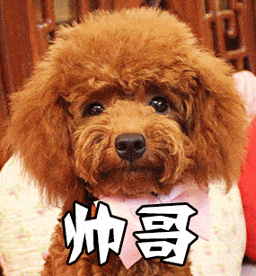 我:哎~像我这种日理万机的人她:谁是李万基? .