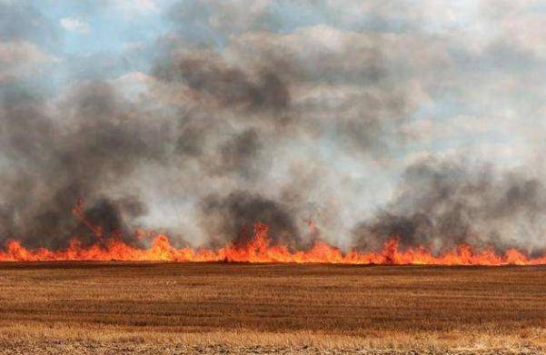 放火焚烧大片农田，成千上万居民无粮可吃，美