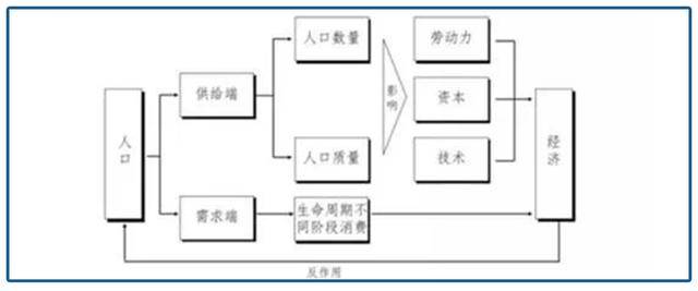 香港人口增长轨迹_香港人口