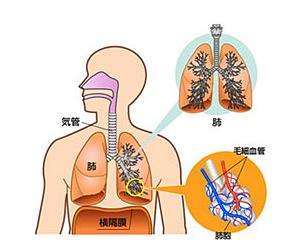 贾宁主任看肺心病 中医是如何治疗肺心病的