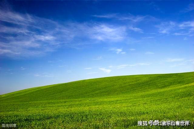 351bfa533668451597ccb5dfbb66d38e.jpeg