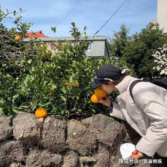 韩智慧公开10年主妇生活 为丈夫搬到济州岛 远离