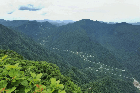 怎么进入桃源 f5a6cbb7973a4efa936609d3e8ab5d28.png