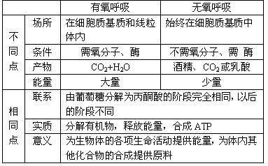 二, 有氧呼吸与无氧呼吸的区别与联系