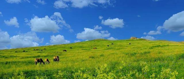 夏日的春坤山等你来!