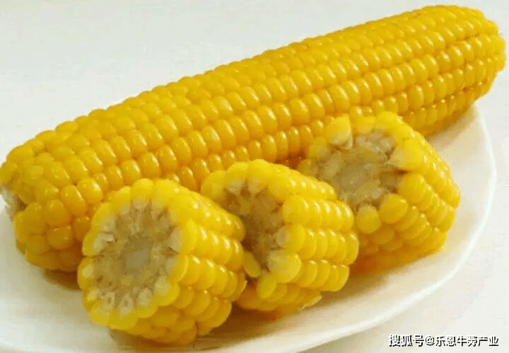 5ece7ffeb2f9490d9e6a8ded42087883.png