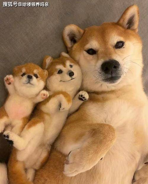 0b8de07a9eae48e9905646d45bc142e5.jpeg