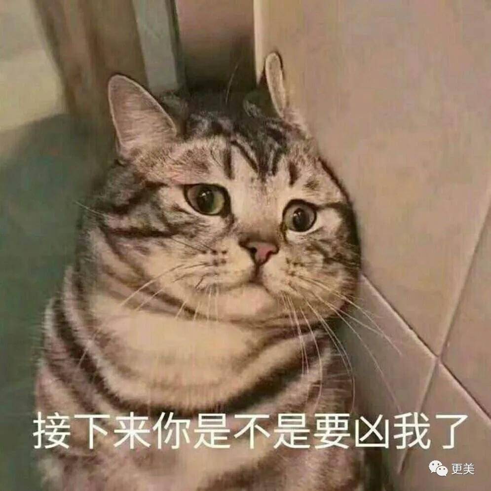 郭碧婷怀孕6个月,却还是单身?她的豪门媳妇脸可复制吗?